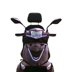Електроскутер VIGOROUS VISTA-3 (T408-3) 1000Вт 60В 20А год для людей похилого віку та людей з особливими потребами