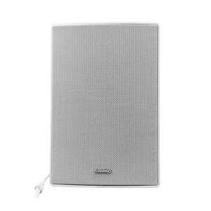 Настенный SIP-IP громкоговоритель Tonmind SIP-S11M 30W, PoE, ONVIF со встроенным микрофоном
