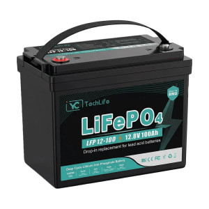 Аккумуляторная батарея EverExceed LFP 12-100 (LDP 12-100) 12.8В 100А/ч LiFePO4
