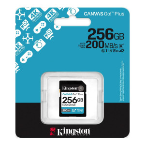 Карта пам'яті Kingston Canvas Go! Plus SDXC 256GB UHS-I/U3 Class 10 R200/W160MB/s (SDG4/256GB)