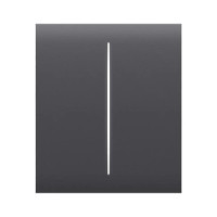 Кнопка CenterButton (2-gang) для выключателя LightSwitch (2-gang) Jeweller graphite
