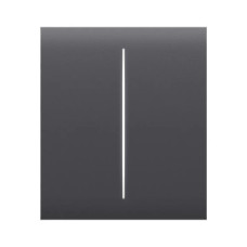 Кнопка CenterButton (2-gang) для вимикача LightSwitch (2-gang) Jeweller graphite
