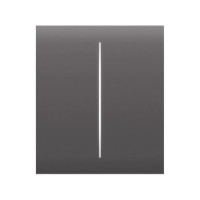 Кнопка CenterButton (2-gang) для выключателя LightSwitch (2-gang) Jeweller grey