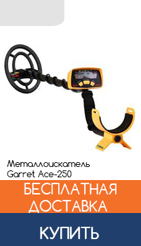 Искатель металлов Garrett ACE 250
